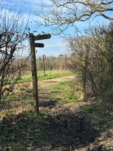 signpost image